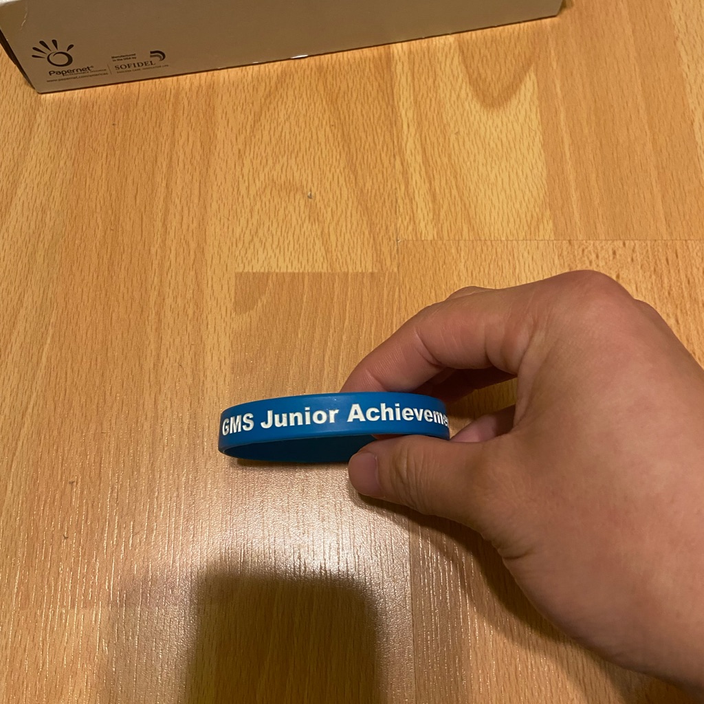Blue Rubber Wristband